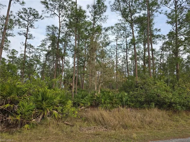 1314 Cleveland Ave, Lehigh Acres, Florida 33972