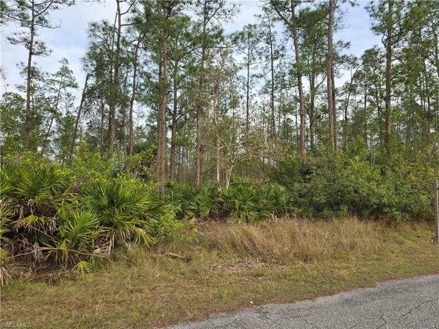 1314 Cleveland Ave, Lehigh Acres, Florida 33972