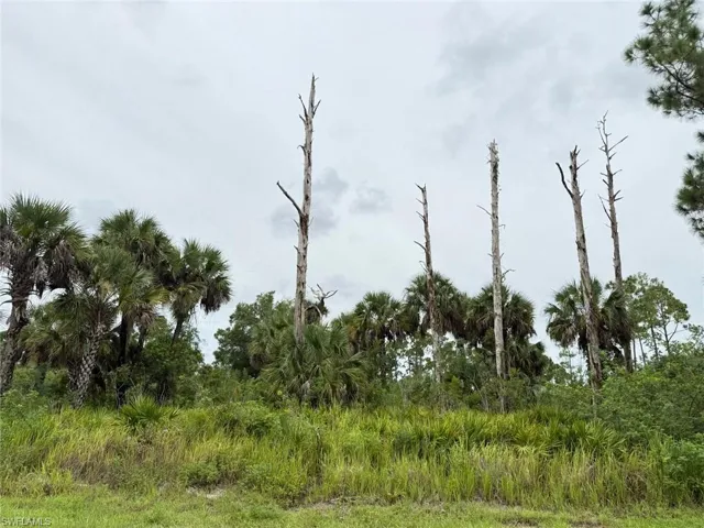 2903 Hanna Ave N, Lehigh Acres, Florida 33971