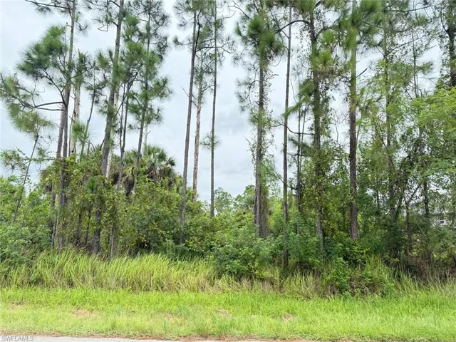 2903 Hanna Ave N, Lehigh Acres, Florida 33971