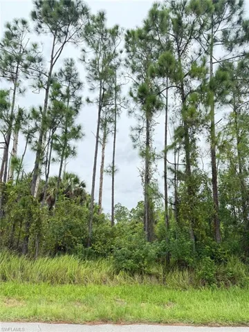 2903 Hanna Ave N, Lehigh Acres, Florida 33971