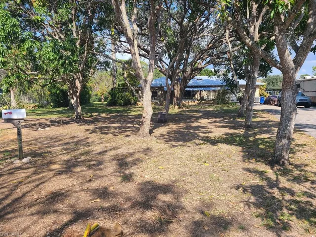 View of yard and fruit trees