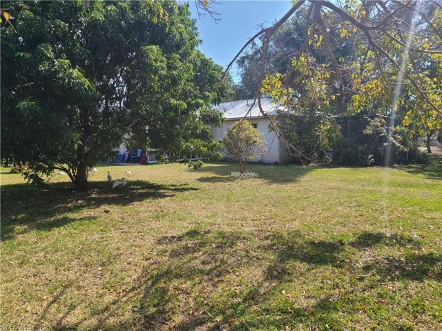 Backyard next to river