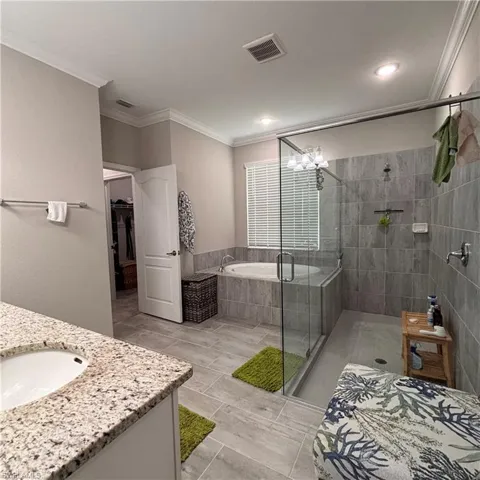 Bathroom featuring crown molding, vanity, a spacious closet, a stall shower, and a bath