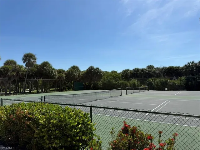 Safety Harbor Tennis Courts