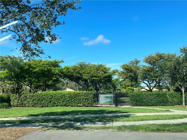 Dog Park