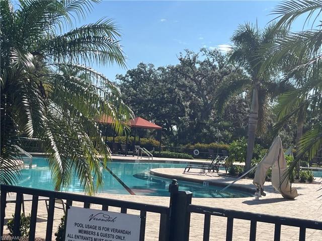 Olympic Sized Pool