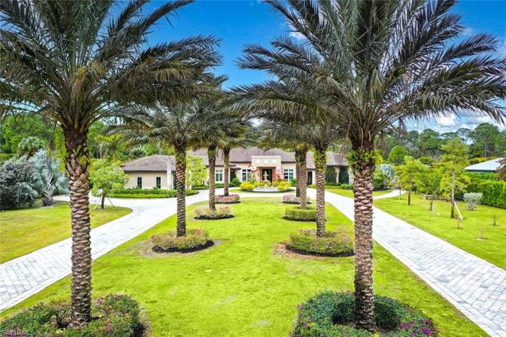 Look at these palms!!!