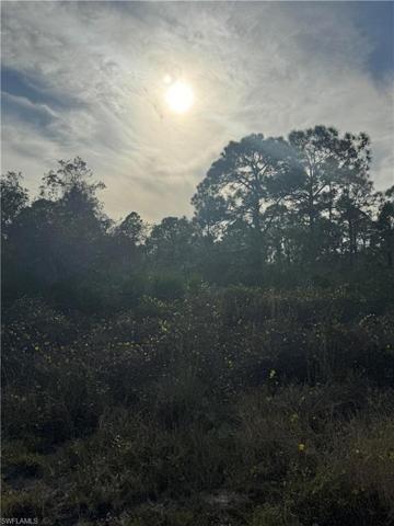 718 Drury AVE, LEHIGH ACRES FL 33974