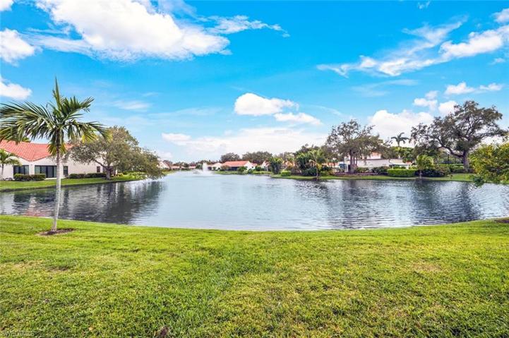 Long Lake View