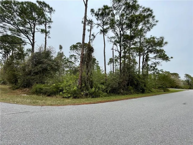 View of road