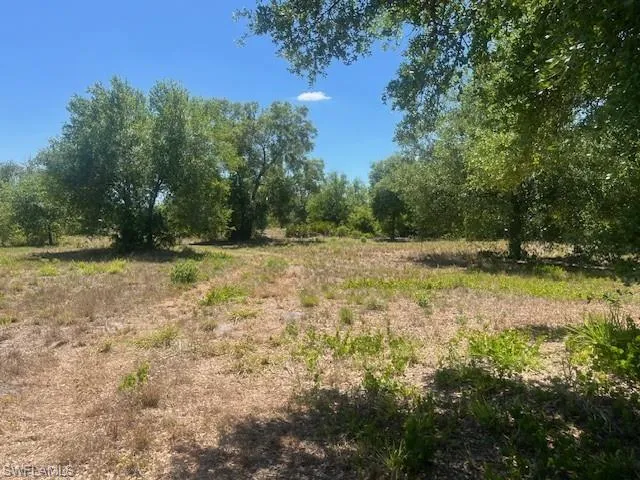 View of local wilderness