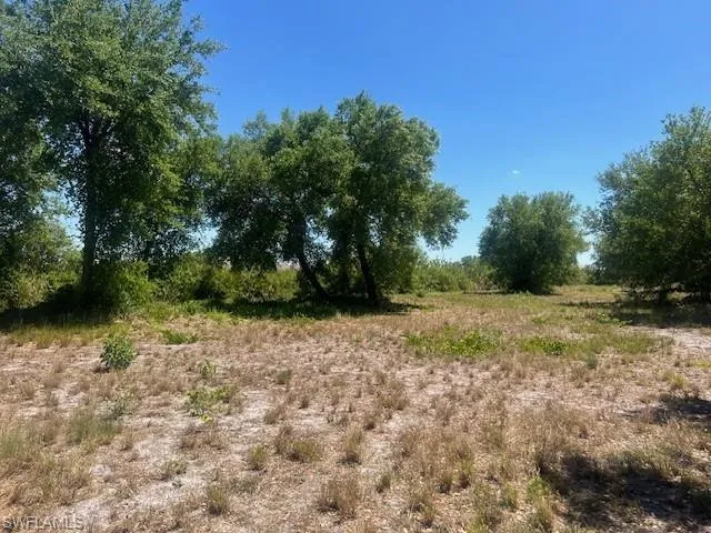 View of nature