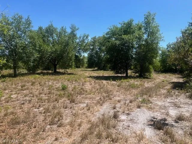 View of landscape