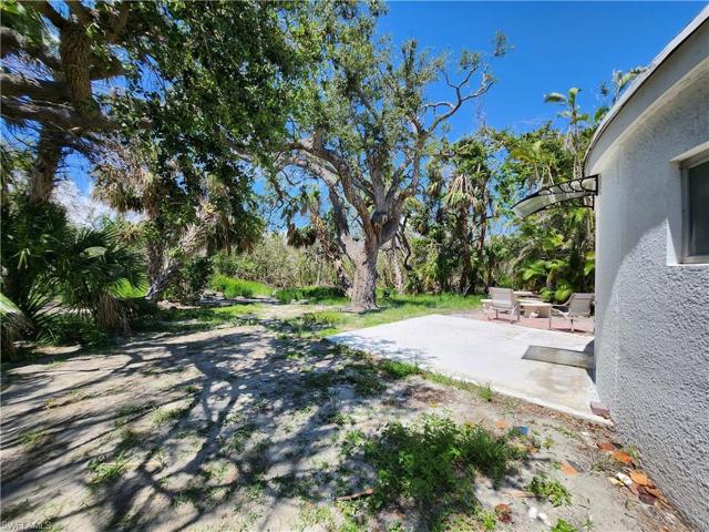Back Yard, Matanzas Preserve