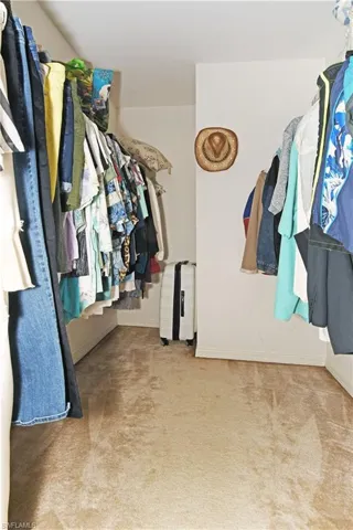 Spacious closet featuring light colored carpet