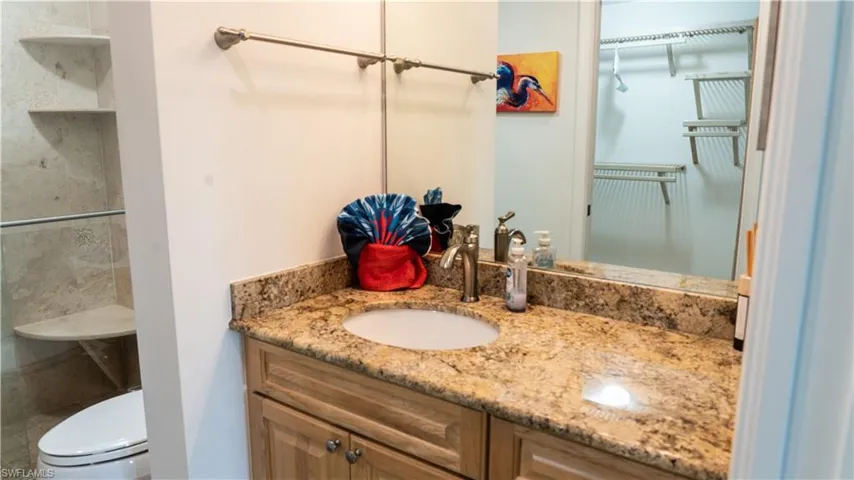 Bathroom featuring vanity, a shower, and a walk in closet