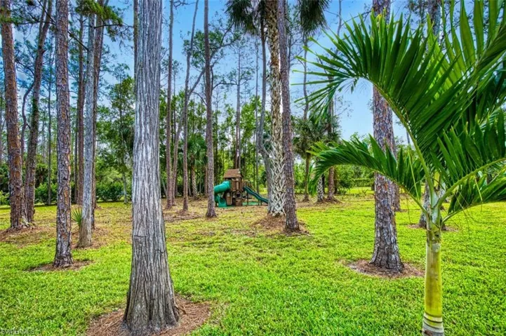 View of grassy yard with a playground