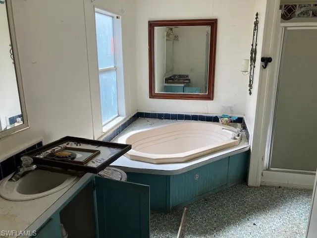 Bathroom with vanity, a wealth of natural light, and separate shower and tub