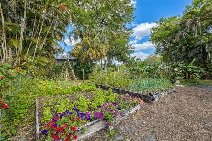 Garden