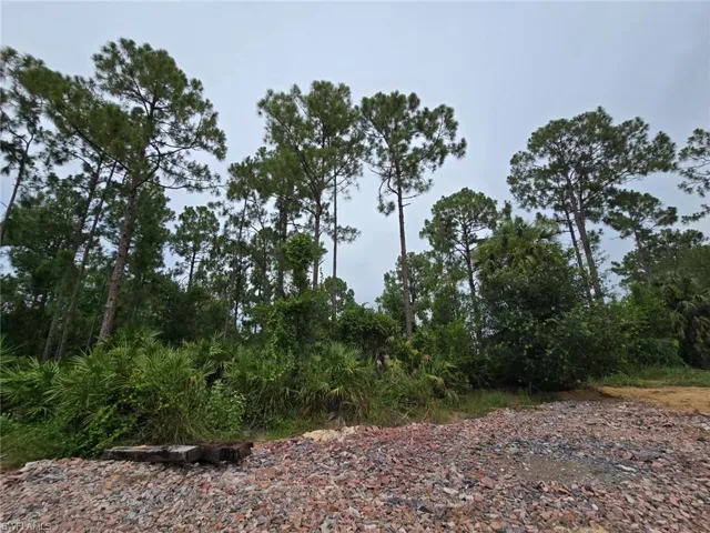 11921 Vista Ridge Dr, Fort Myers, Florida 33913