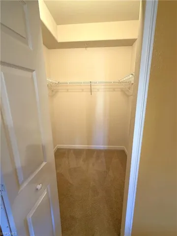 Large walk-in closet with carpet flooring