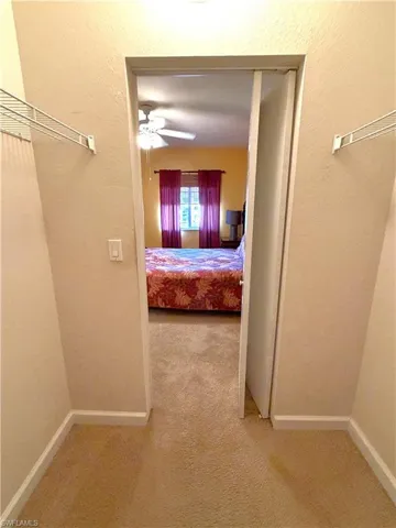 Walk-in closet in bedroom with carpet flooring