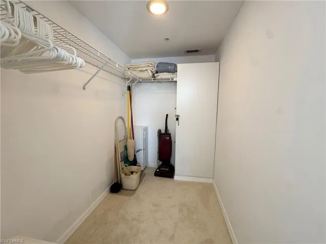 Spacious closet featuring light colored carpet