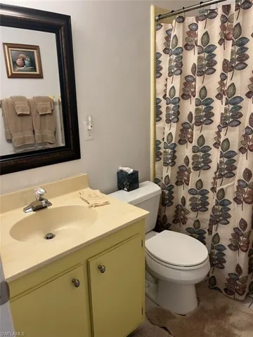 Bathroom with vanity, toilet, and a shower with shower curtain