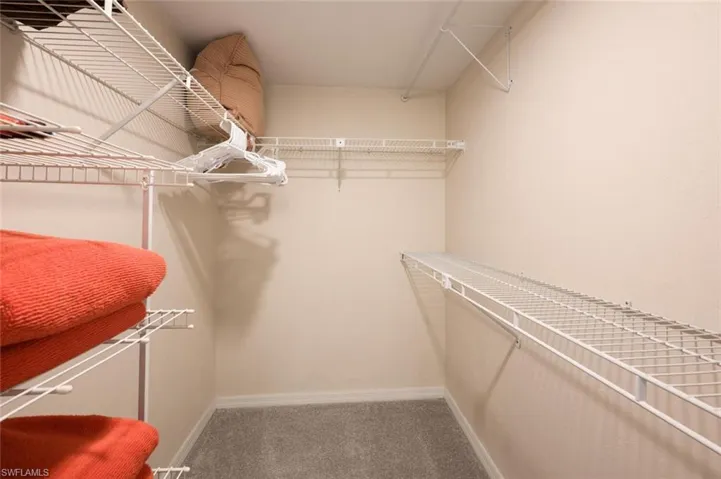 Spacious closet with carpet floors