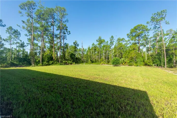 View of grassy yard