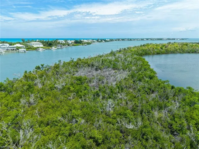 Buck Key