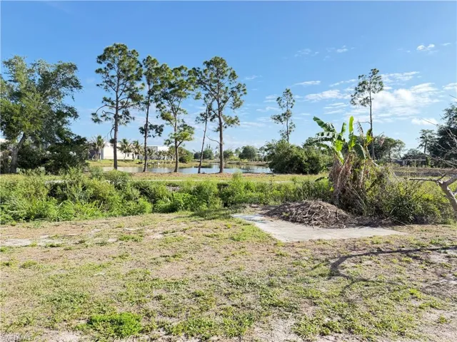 lake view from the backyard