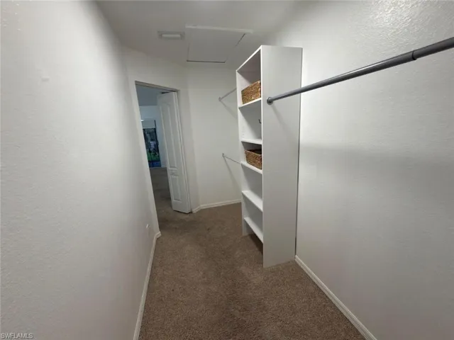 Spacious closet with carpet floors