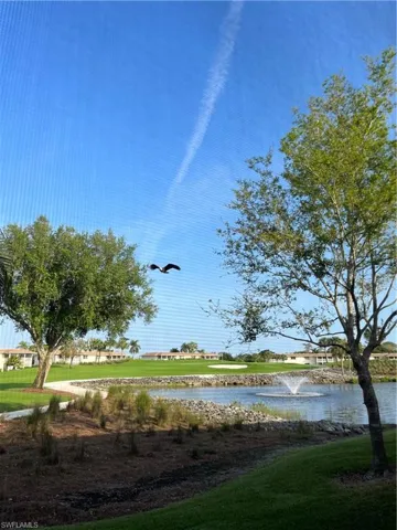 Eagle in flight over pond!
