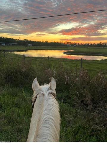 Beautiful sunsets