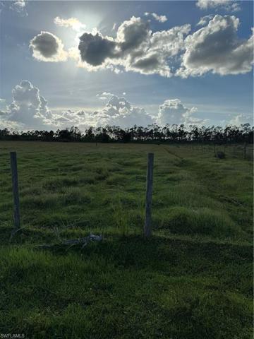 Cross fence in middle of property