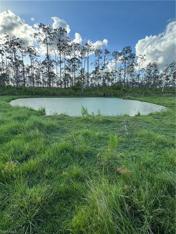 2nd pond in back of property