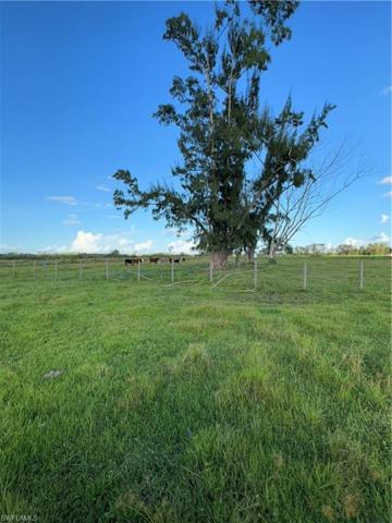 Very back of property looking to center of property