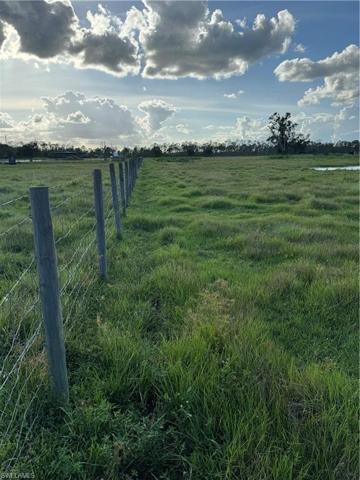 Front looking towards back and fence line to the right of picture