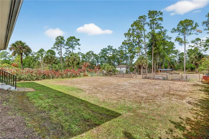 View of yard