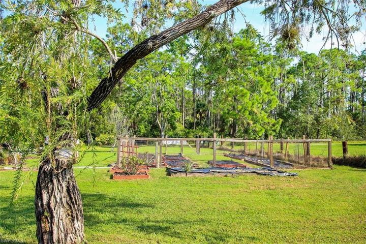 Raised beds for your garden
