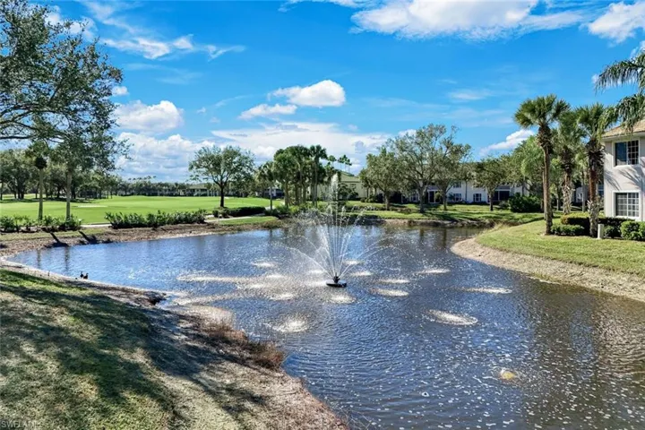 Water view