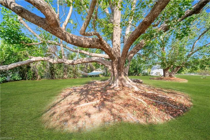 4126 SE 1st  CT, Cape Coral, FL 33904