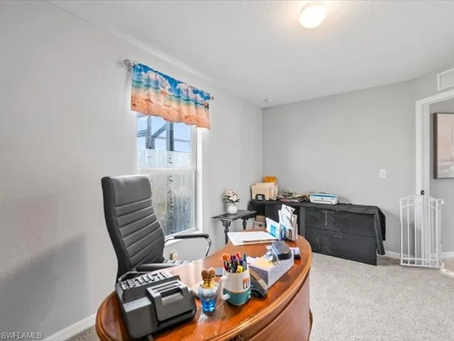 4317 Nw 34th Ln, Cape Coral, Florida 33993