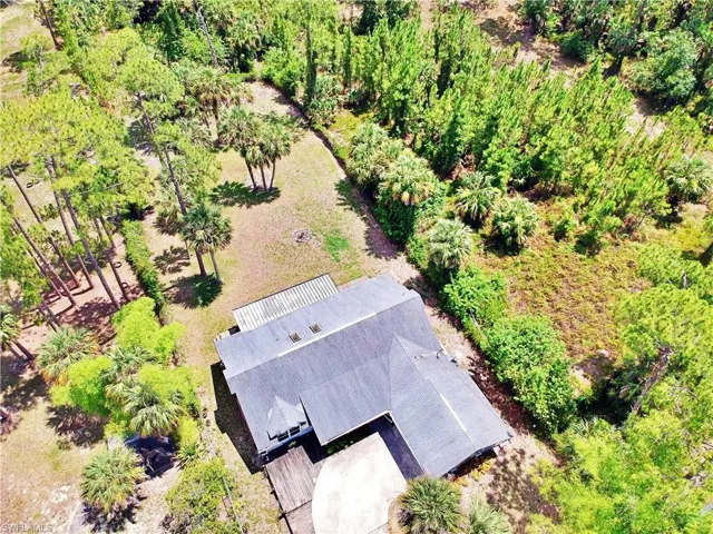 View of bird's eye view
