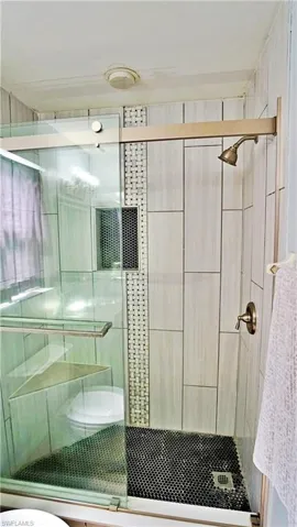 Bathroom with an enclosed shower and toilet
