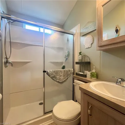 with skylight window