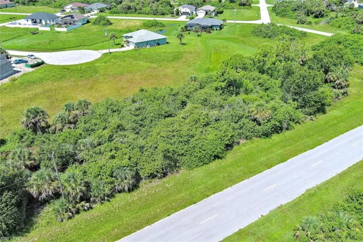 Bird's eye view of a tree filled landscape