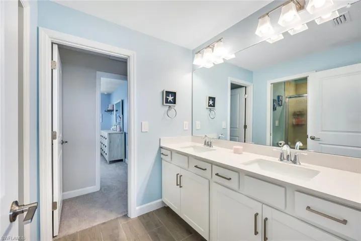 Bathroom with vanity, wood-type flooring, and a shower with shower door